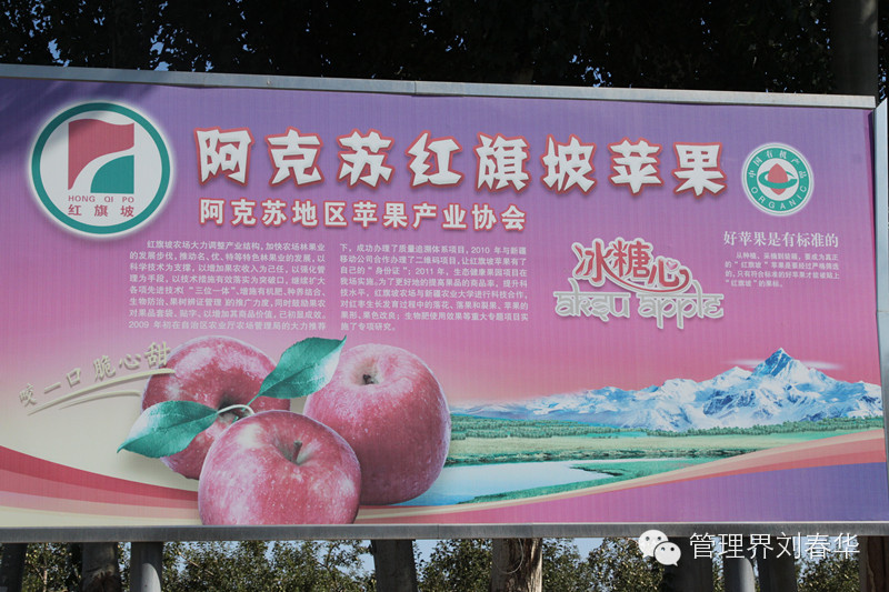 華商智業專家團聯合中國品牌促進會走進阿克蘇（上）
