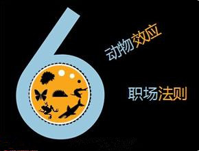 【華商觀點】告訴我這些動物效應、職場法則你都明白嗎？